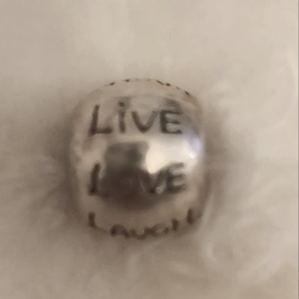 Silver Brighton Charm With Different Inspirationa… - image 3